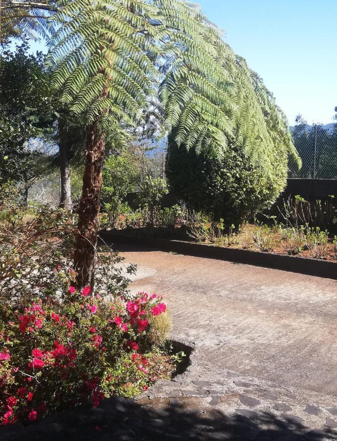 Chalet Pico Das Pedras Santana  Exterior photo