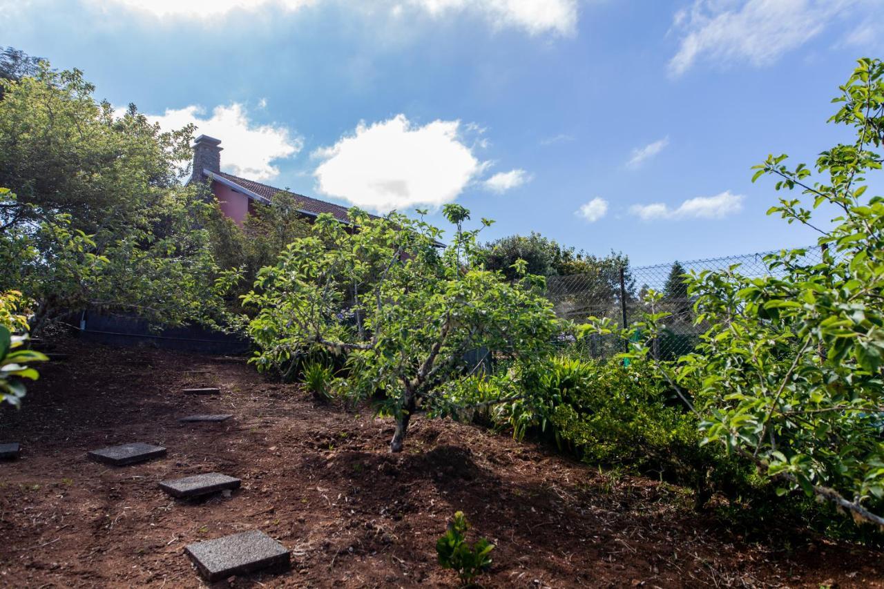 Chalet Pico Das Pedras Santana  Exterior photo